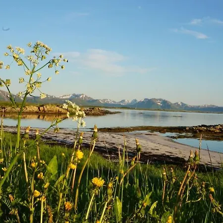 Sjarmerende Hus Med Orkesterplass Til Hav Og Fjell Hébergement de vacances *