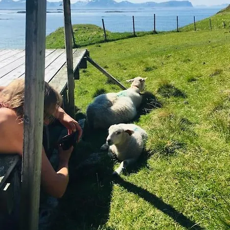 Holiday home Sjarmerende Hus Med Orkesterplass Til Hav Og Fjell