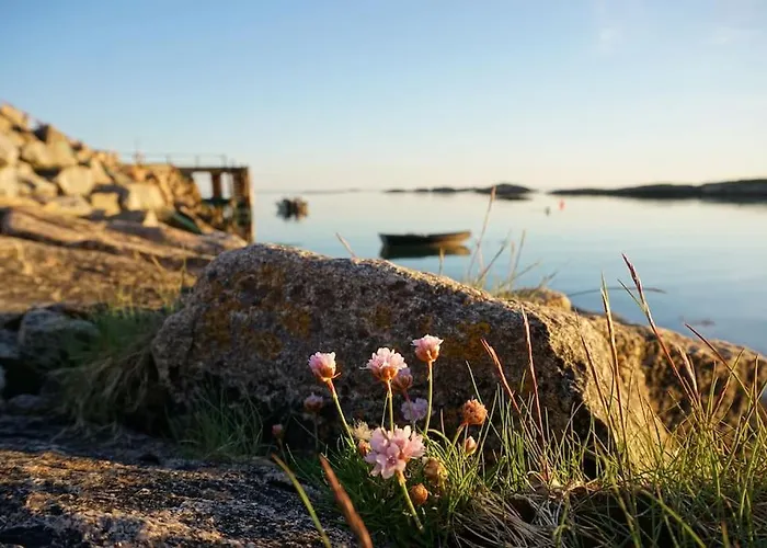 Ferienhaus Sjarmerende Hus Med Orkesterplass Til Hav Og Fjell *