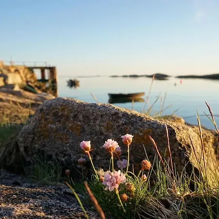 別荘 Sjarmerende Hus Med Orkesterplass Til Hav Og Fjell *